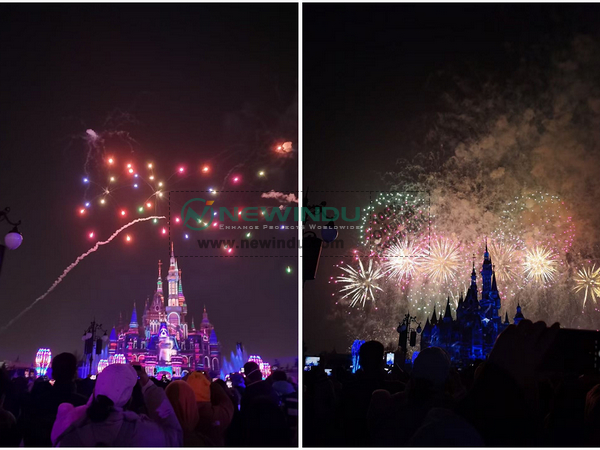 The NEWINDU's Carnival Trip to Disneyland Resort